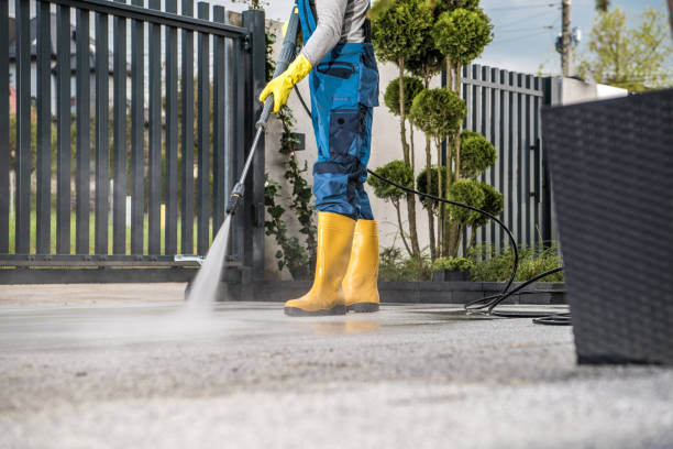 Best Deck Cleaning Services  in Vidor, TX
